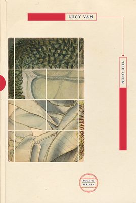 "The Open" by Lucy Van cover photo