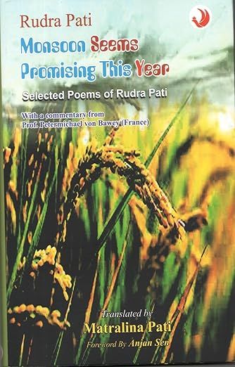 “Monsoon Seems Promising This Year” by Rudra Pati