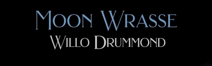 "Moon Wrasse" by Willo Drummond cover photo